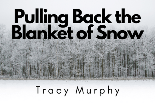Pulling Back the Blanket of&nbsp;Snow