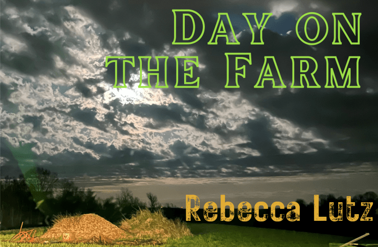 Day on the&nbsp;Farm