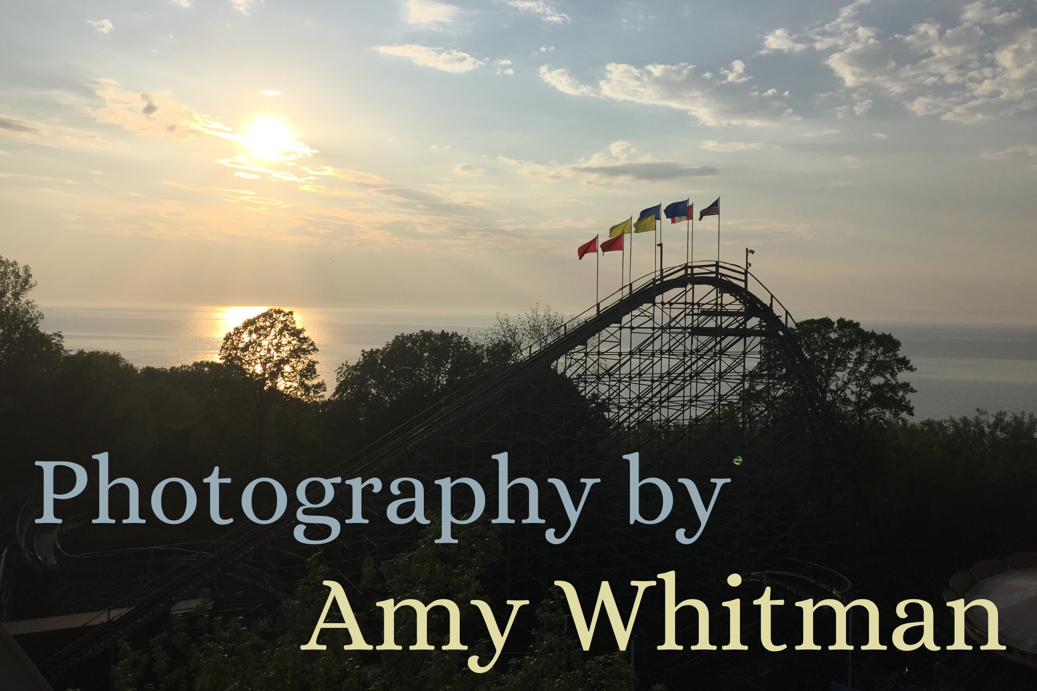Photography by Amy Whitman
